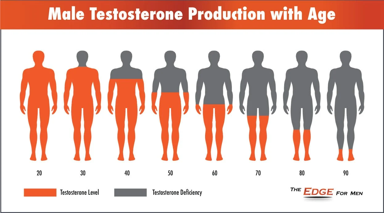 مستويات هرمون التستوستيرون مع تقدم العمر 
