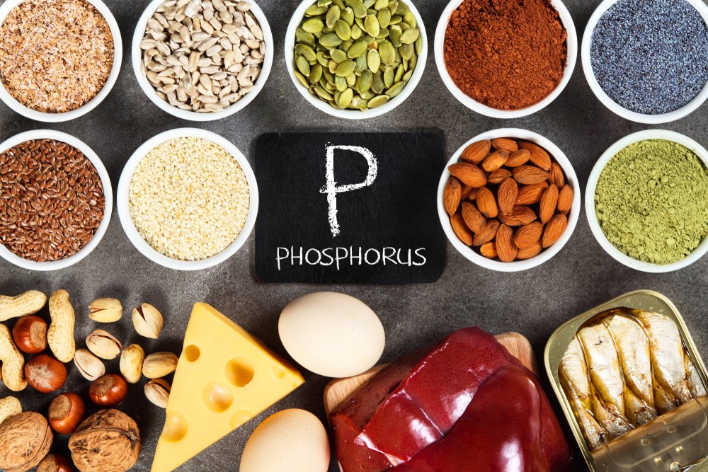 Organic-phosphorus-sources.-Foods-highest-in-phosphorus.-Image-Evan-LorneS.jpg