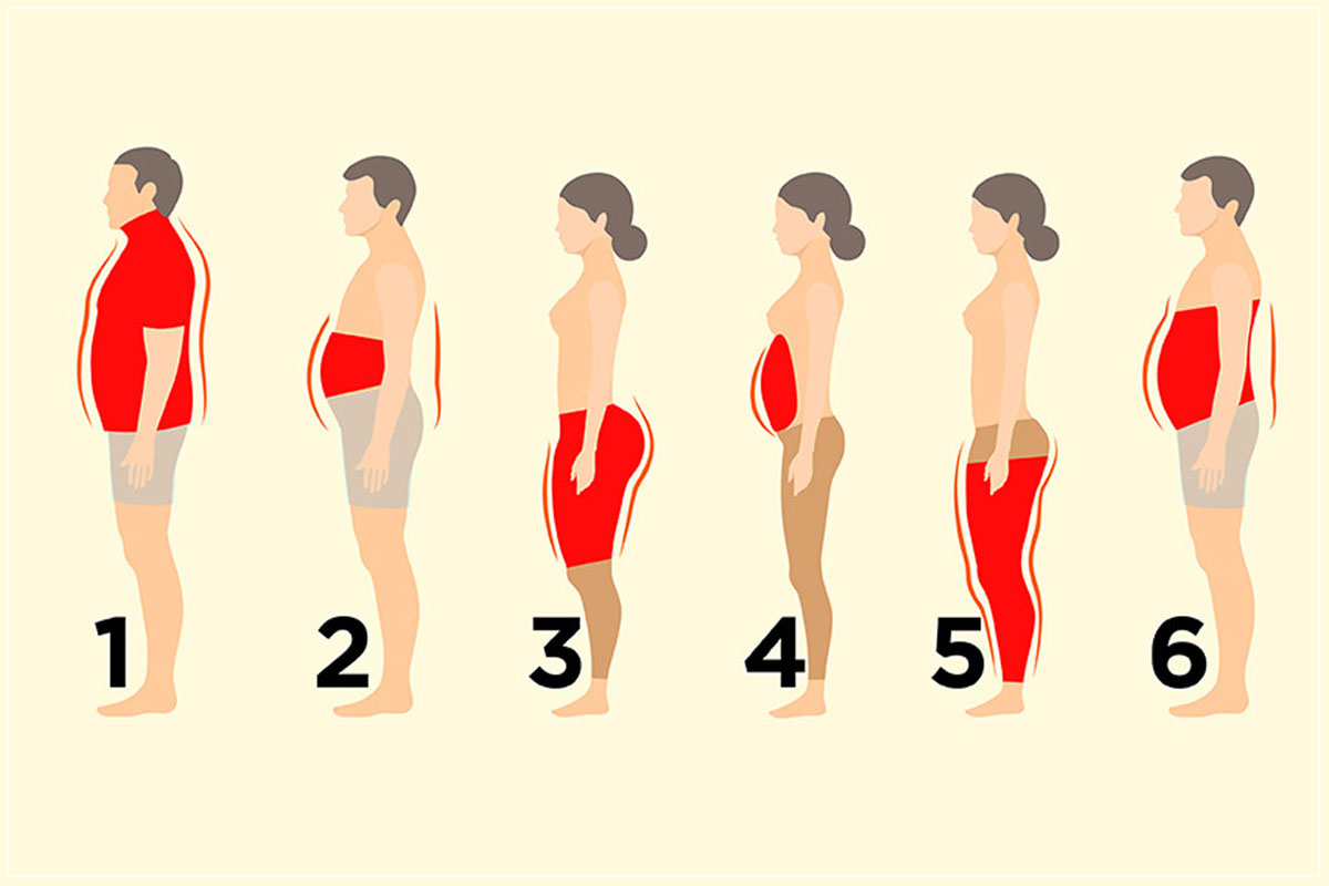 6-Types-Of-Body-Fats-And-What-You-Need-To-Know-About-Them.jpg