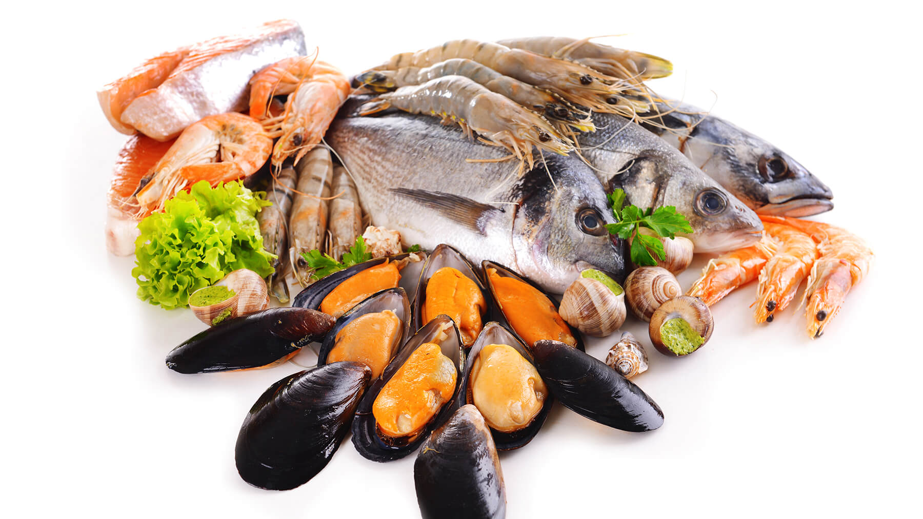 الاسماك و المحار من الاطعمة التي تسبب التسمم الغذائي 