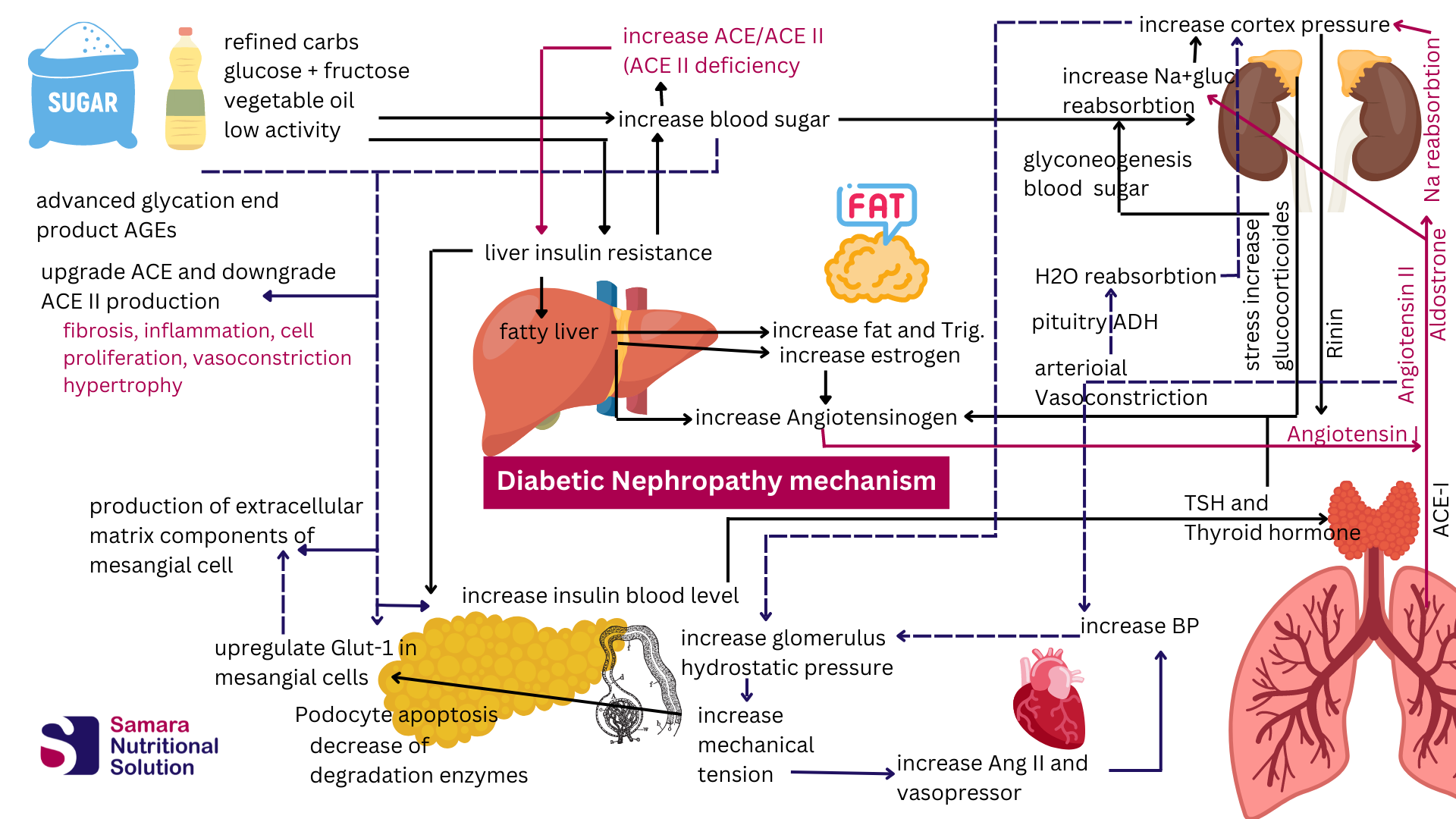 diabetes and kidney disease diet