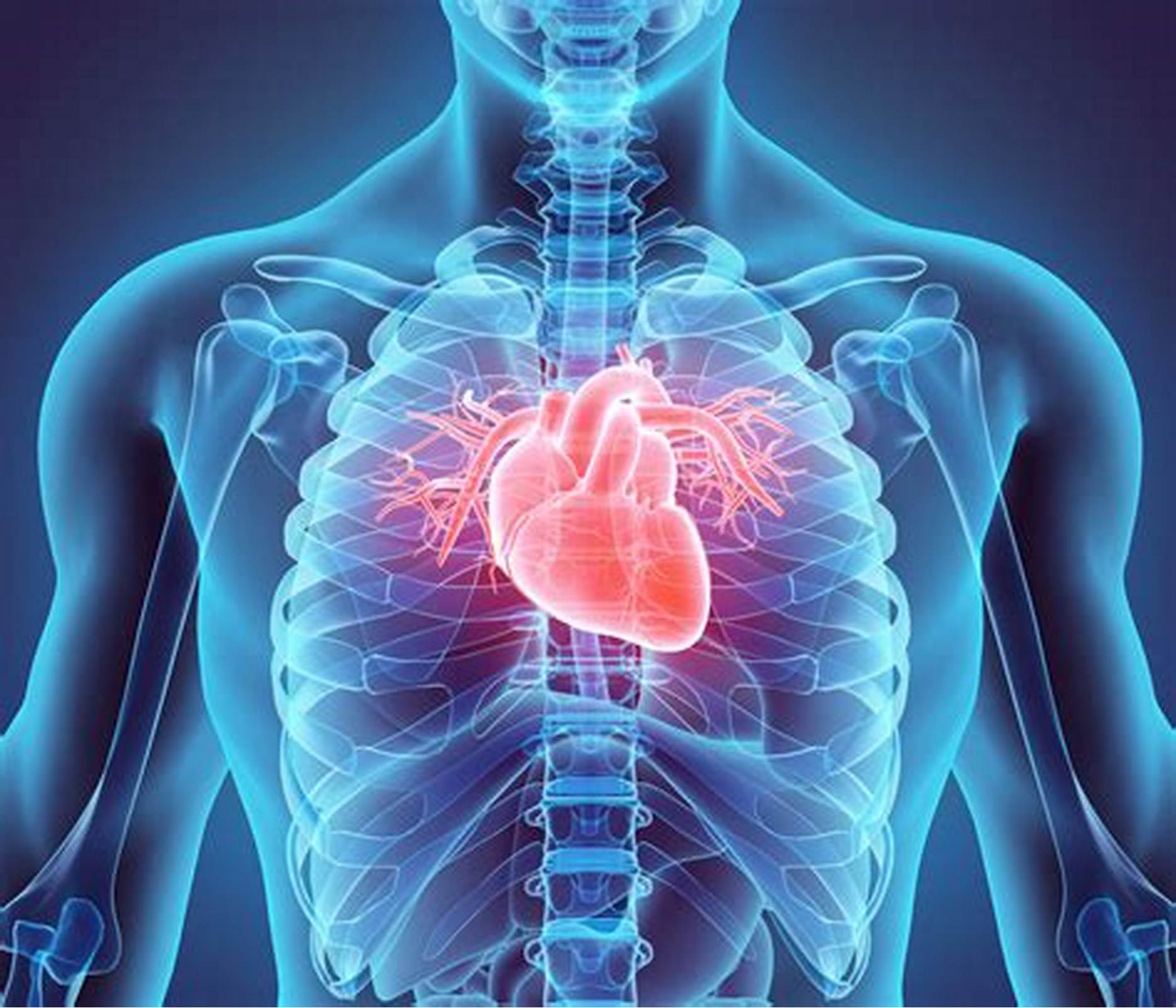 قد يقلل البوليفينول من خطر الاصابة بامراض القلب 