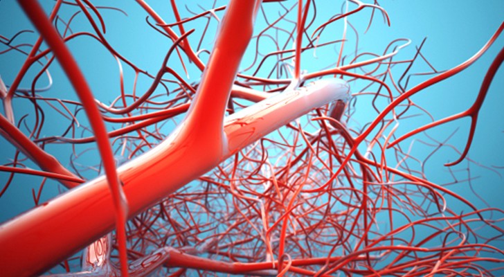 علاقة الدهون المتحولة بالاوعية الدموية و السرطان
