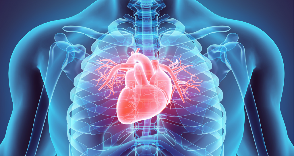 لبوتاسيوم وفيتامين C والألياف قد تفيد صحة القلب