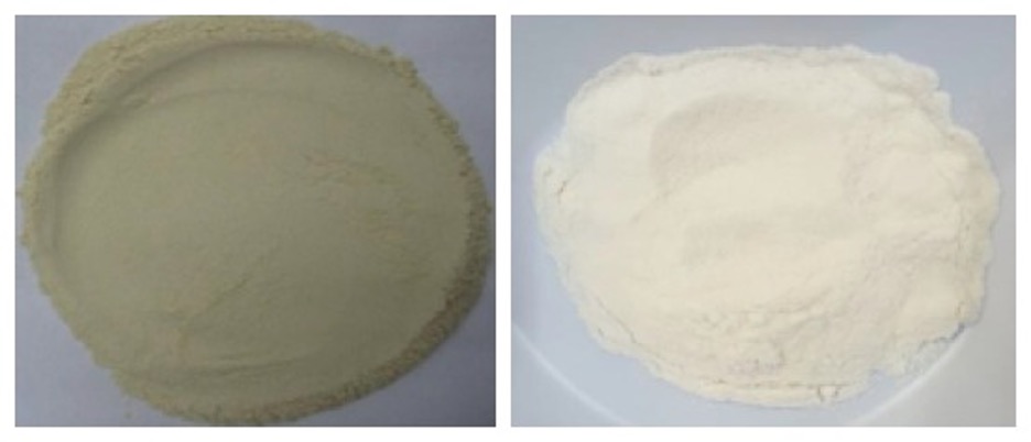 Semi Refined (left) and Refined (right) kappa Powder