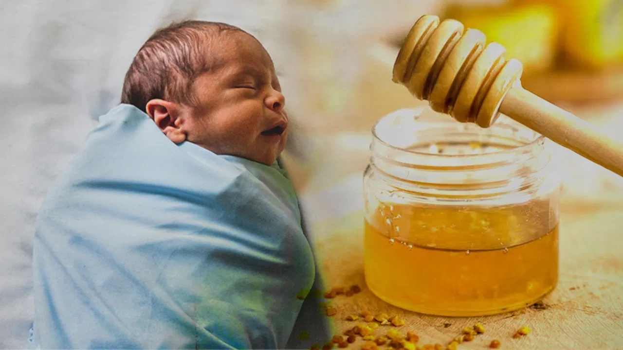 honey-should-not-be-given-to-newborn-baby-know-what-experts-says.jpeg.webp