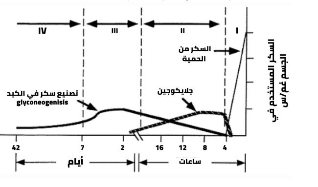 قليلة النشويات