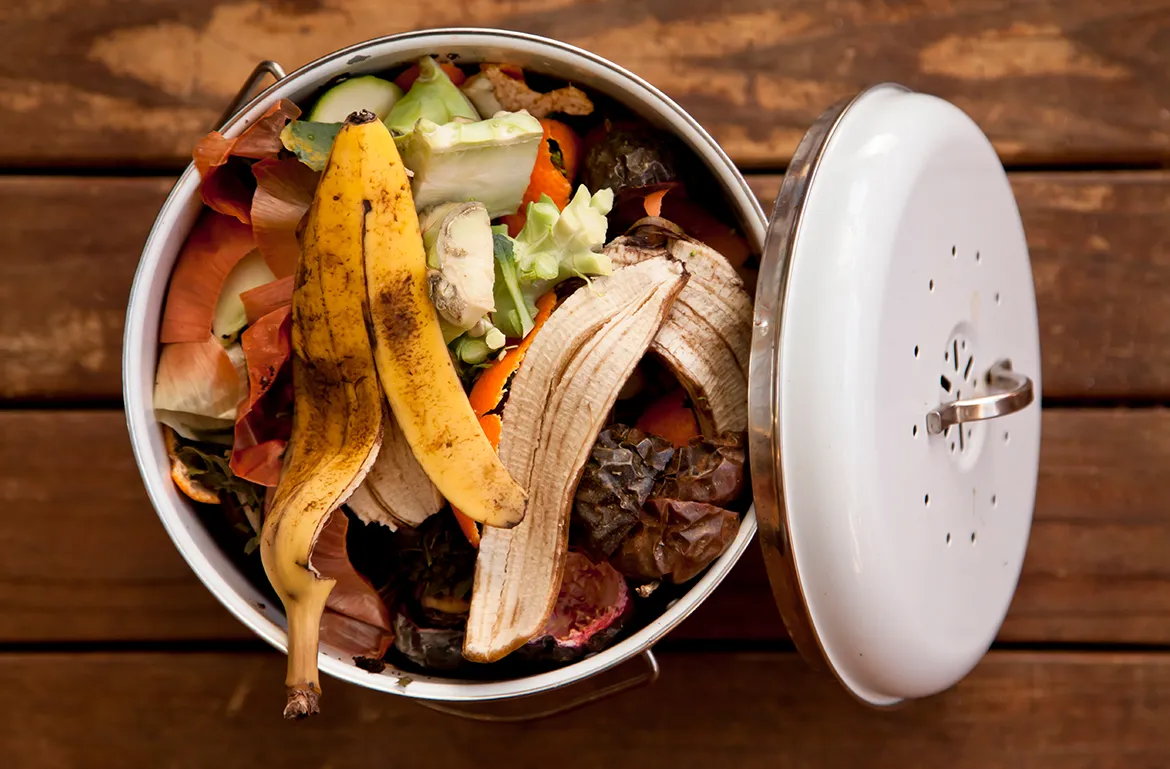getty-inedible-food-scraps-Jenny-Dettrick.webp