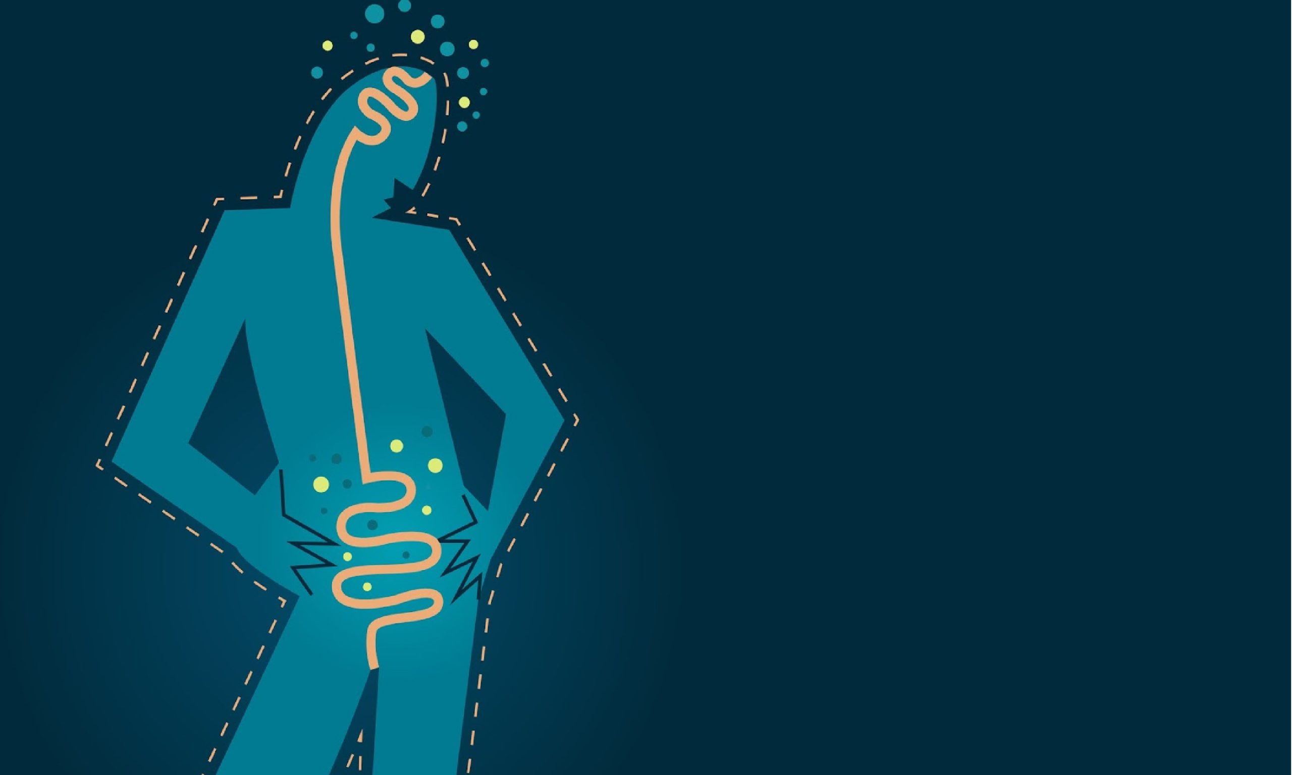 Gut-Brain-Connection-scaled-1.jpg
