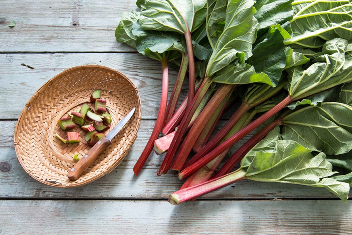 rhubarb-leaves_shutterstock_419183968-1.jpg
