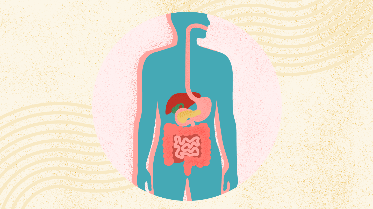 eh-more-in-digestive-health-gg-1440x810-1.png