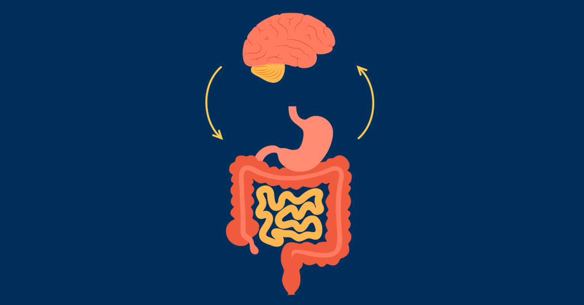 محور الأمعاء والدماغ