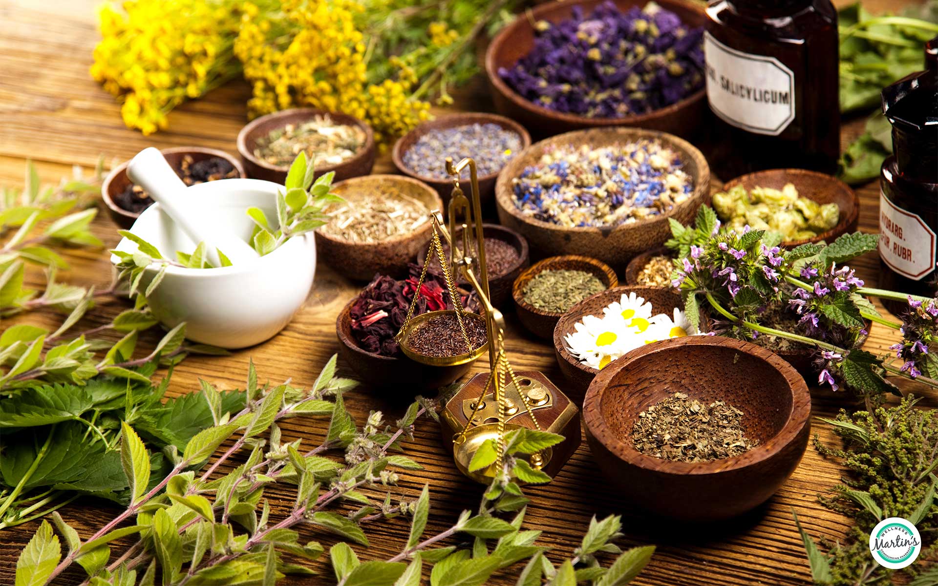 MW-Herbs-for-Endocrine-System.jpg