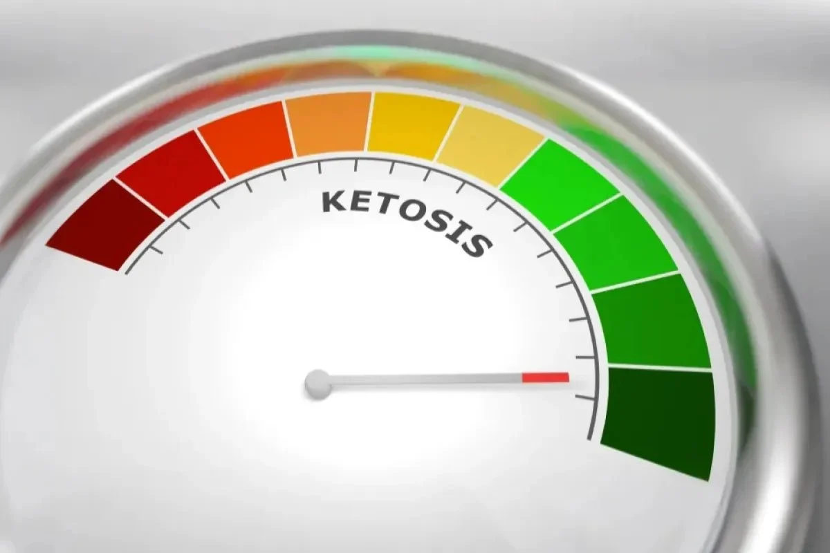 how-long-for-body-to-go-into-ketosis-2-4-days-or-more-4361541.webp
