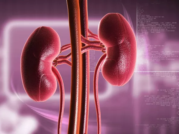 كيفية إدارة مرض الكلى في مراحله المتأخرة مع مرض السكري من النوع الثاني