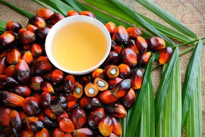 PalmOIl2.jpg