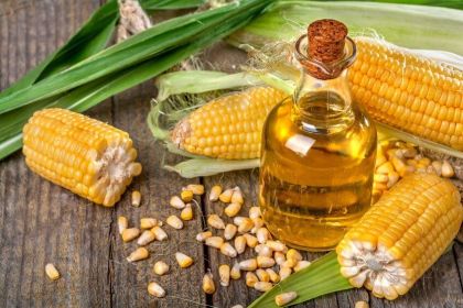 corn-germ-oil-845x565-1.jpg