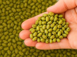 فاصوليا الماش: قيمتها الغذائية وفوائدها الصحية