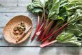rhubarb-leaves_shutterstock_419183968-1.jpg