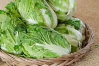 shutterstock_231963535.jpg