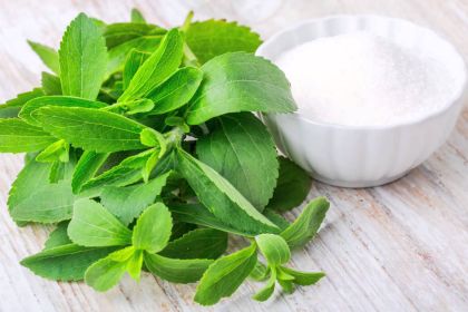 stevia.jpeg